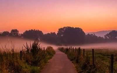 Odit ipsam et et magni quam.